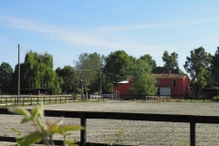 Il campo da salto ostacoli