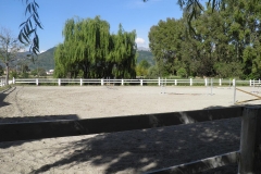Il campo scuola