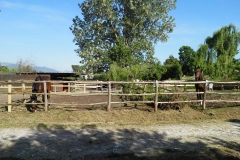 I paddock
