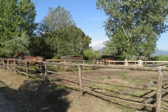 I paddock