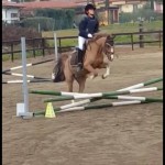 "POIS" Pony utile per affrontare i primi percorsi di salto ostacoli