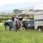 IMG_1679 - Copia