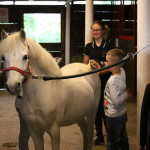 IMG_1700 - Copia
