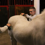 IMG_1709 - Copia