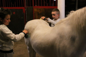 IMG_1709 - Copia