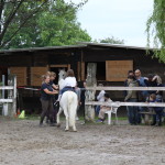 IMG_1710 - Copia