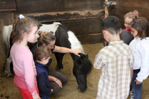 "BRUNA" La nostra super pony per i più piccoli permette il loro l'avvicinamento grazie alla sua affidabilità e pazienza.