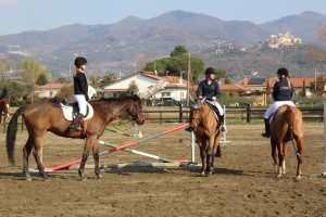 sociale 6