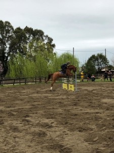 IMG-20190311-WA0010