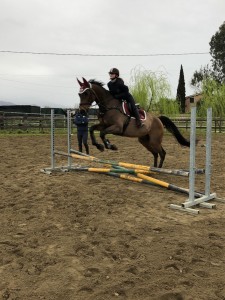 IMG-20190311-WA0012