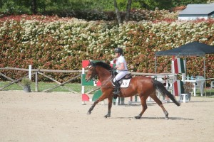 PISTO 2