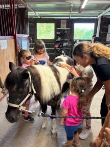 IMG-20250720-WA0008-EDIT