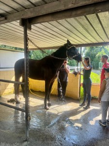 538273977_122195454302281334_6110971996319604897_n