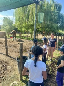 538289584_122195454038281334_4329978284010047488_n