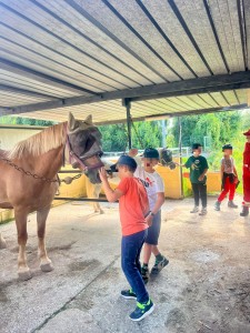 538426593_122195454242281334_3656629552636001151_n