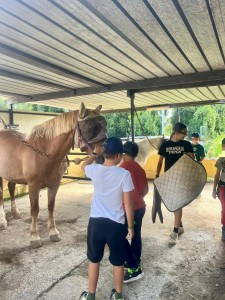 539289455_122195454200281334_7304302195781249349_n