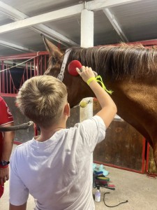 539430101_122195454026281334_5959795171898946310_n