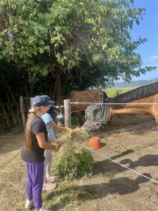 539440819_122195454290281334_164125419818346771_n