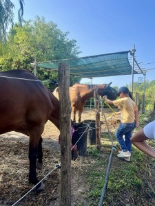 539551198_122195454236281334_3059445956443591087_n